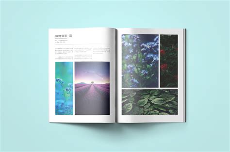 绿色清新简约旅游纪念摄影集排版设计画册图片下载 - 觅知网