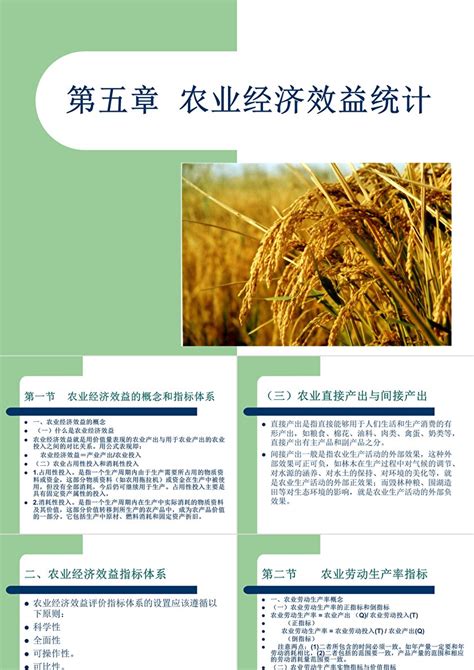 第五章--农业经济效益统计简析课件PPT_PPT牛模板网