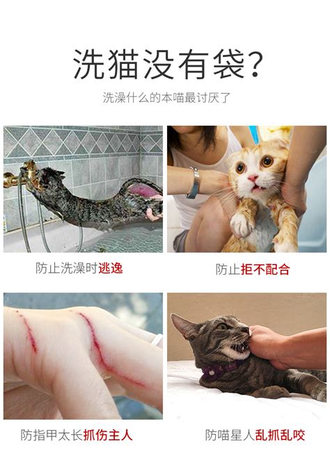 洗猫袋猫咪洗澡神器猫洗澡袋固定袋猫清洁美容工具宠物用品亚马逊-阿里巴巴