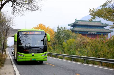 直达长城赏花，877路旅游公交全新升级_北京日报网