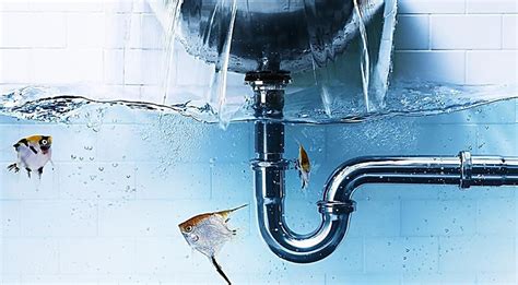 水管流水不畅是什么原因 如何防止？