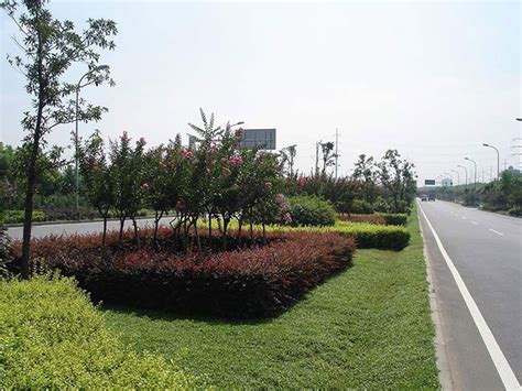 园林绿化工程 深圳市禾硕环境工程有限公司[官网] 绿化工程 景观设计 绿化养护