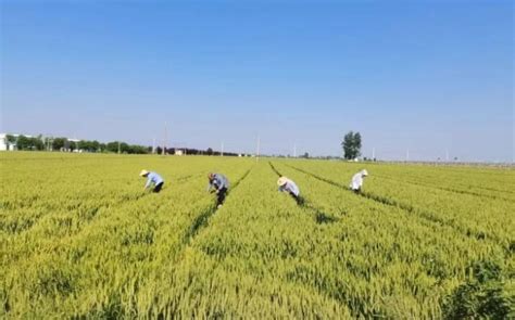 推进技能培训力度，提升农民技能水平-新疆农业职业技术学院继续教育分院