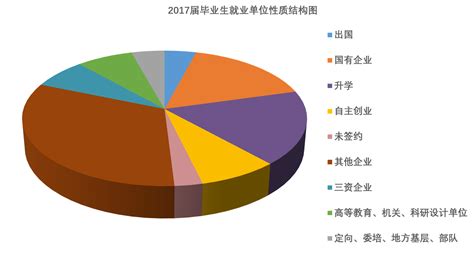 重庆大学计算机学院2017届就业概况-计算机学院主页