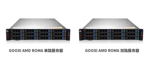 最低仅需万元到手，Gooxi AMD Rome平台服务器特价啦_amd rome 7k62-CSDN博客