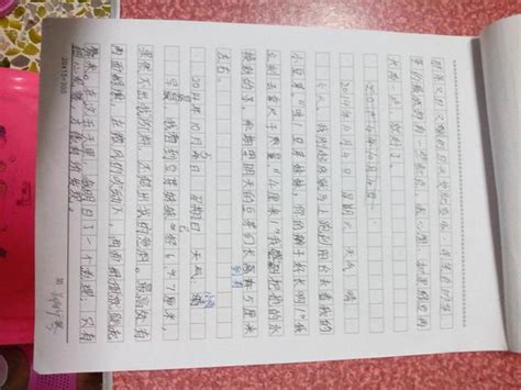 三年级小学生数学日记怎么写Word模板下载_编号qyzngeab_熊猫办公