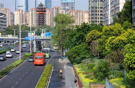 奥雅股份中标北京大兴市场路综合治理提升工程 - 中标通告 - 奥雅股份 | 美好人居环境综合服务商