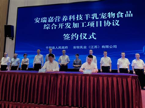 千阳县总投资5.9亿元的16个重点项目集中开工建设-西部之声