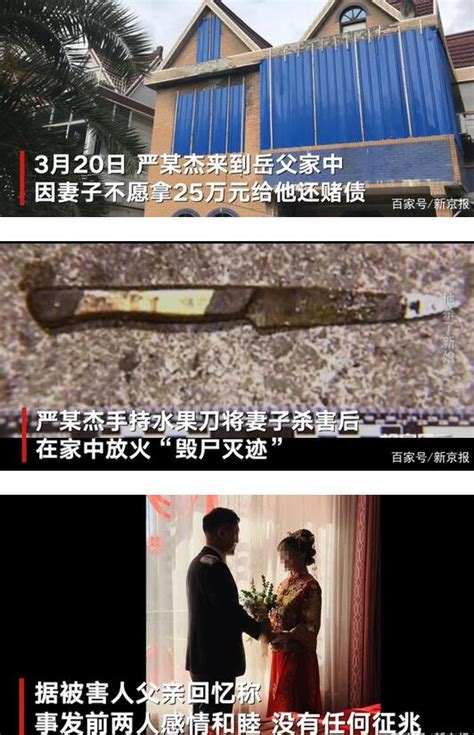 上海杀妻焚尸案受害者家属发声（严某杰）_奇象网