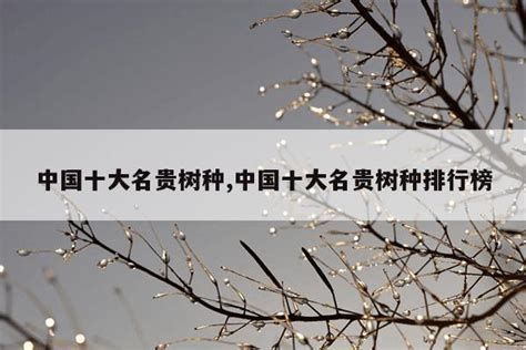 中国十大盆景名贵树种，你知道几种？(3)_巴拉排行榜
