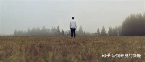 孤独终老图片