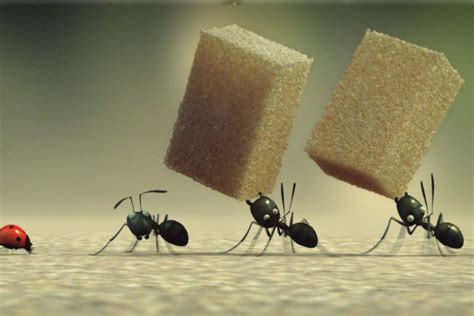 蚂蚁搬家的原因 - 知百科