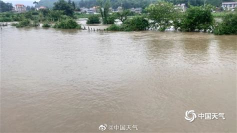 广东遭强降雨 多地时段降雨量超100毫米_坪山新闻网