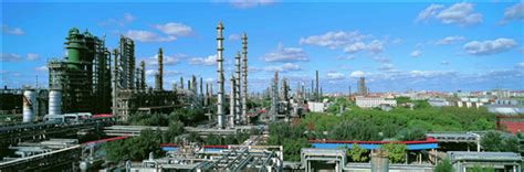 大庆石化积极推进“油头化尾”助力企业高质量发展侧记 - 石油天然气