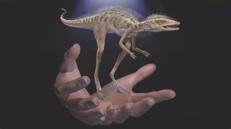 科学家发现最小恐龙化石：大概只有4寸高-恐龙 ——快科技(驱动之家旗下媒体)--科技改变未来