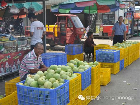 宏进市场夏季时令水果上市热销-市场动态-玉林宏进农副食品批发市场