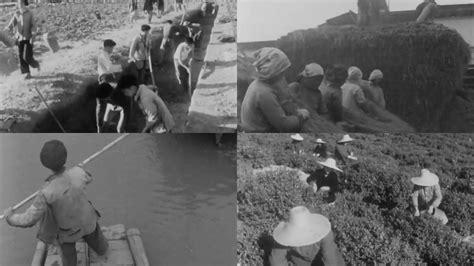 五十年代农村农民生产场景,老照片,纪实摄影,摄影素材,汇图网www.huitu.com