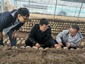 国家川藏铁路技术创新中心（西藏）林芝研发基地建设取得重要阶段性进展_西藏科技_省市科技_资讯_科技网