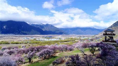 国内最美的春天，三月份的林芝堪称西藏最美的世外桃源|林芝|桃花|西藏_新浪新闻