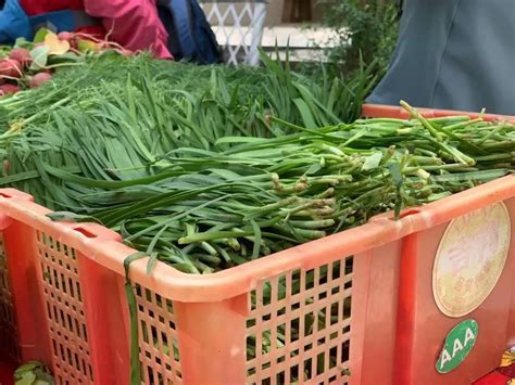 受毒韭菜事件影响 青岛农贸市场不见韭菜踪影-新闻中心-温州网
