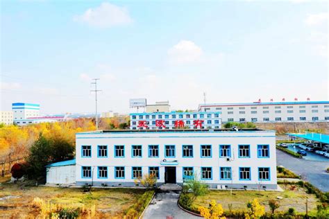 新疆亚欧稀有金属股份有限公司_子公司-新疆有色金属工业（集团）有限责任公司