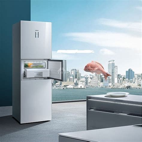 电冰箱哪个牌子好 电冰箱什么牌子好 - 装修保障网