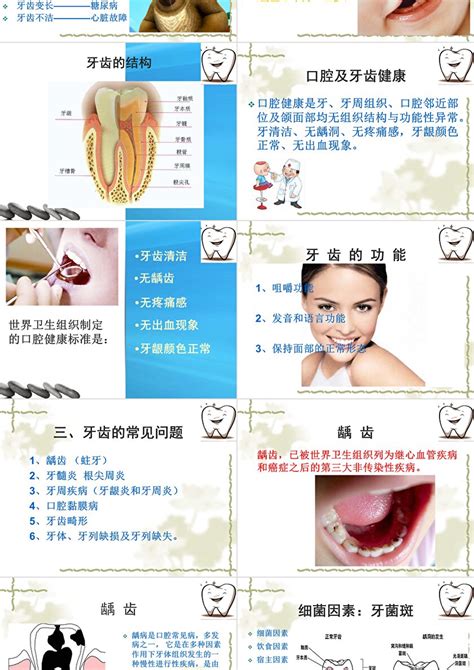 口腔健康核心信息及知识要点 - 内容 - 江南新村小学