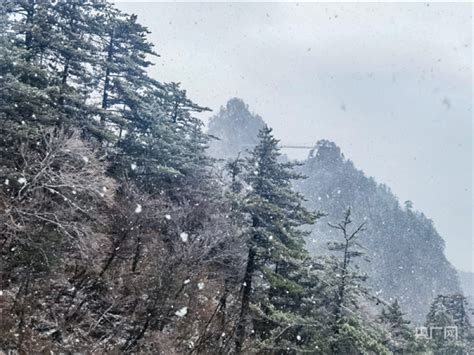 2021年12月25.天门山下雪了!_张家界_索道_山顶