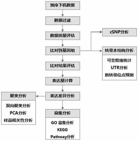 数据分析的思路梳理(数据分析的八个步骤与七种思路)