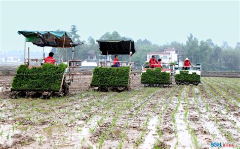 仁寿县推进现代农业园区提档升级 助力农业高质量发展_四川在线