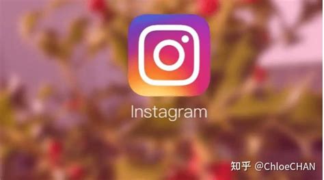 仿Instagram开发的社交媒体网络应用程序Android端APP源码【适合二开】 - 云创源码