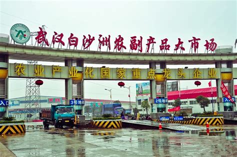 实地探访武汉最大“菜篮子”：蔬菜日出货近2000吨，面临运输成本和人工短缺难题 | 每经网