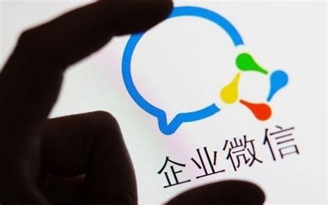 上海杨浦app官方版-上海杨浦app下载v2.1.1 安卓版-乐游网软件下载