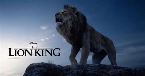 迪士尼宣布《狮子王》真狮版电影内地票房突破1亿：放出简洁版破亿海报-新闻资讯-高贝娱乐