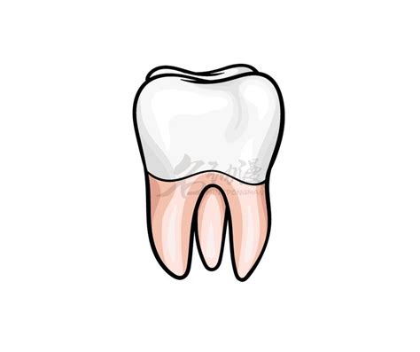 简单几步学会人物牙齿画法-广州名动漫