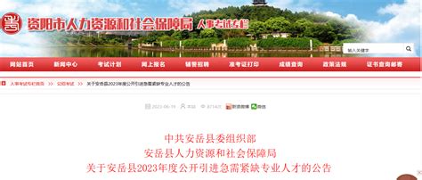2023年四川省资阳市安岳县引进48名公告（报名时间6月29日至7月5日）