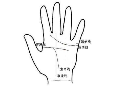 手指手相图解大全图片
