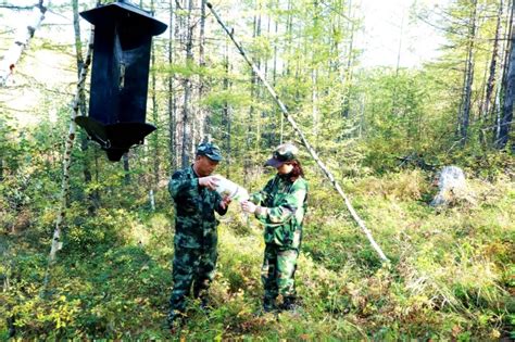 中国林科院资源所深入阿木尔林业局调查森林、湿地工作