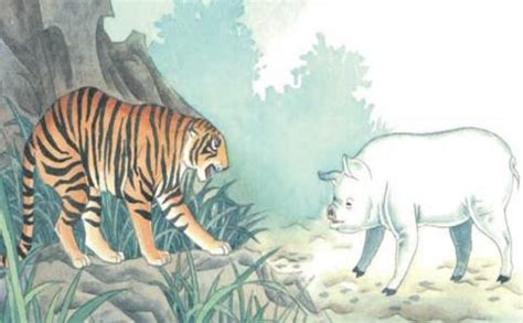 老虎和猪图片,老虎猪的卡通图片,猪和虎结合的图片_大山谷图库