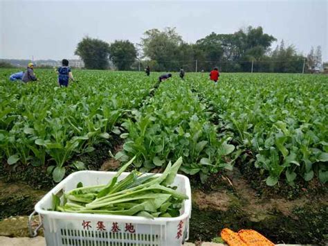 “基建狂魔”10万斤蔬菜运抵抗疫一线－国务院国有资产监督管理委员会