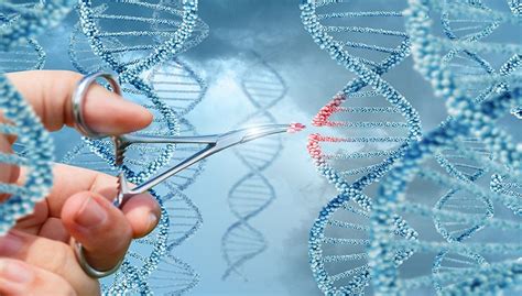 盘点|CRISPR基因编辑技术研究进展-组学-转化医学网-转化医学核心门户