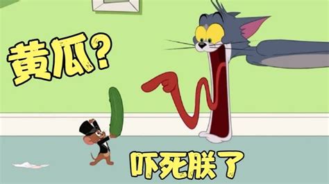 猫和老鼠搞笑配音：耗儿看视频发现猫竟然怕黄瓜，那汤姆猫就惨了_腾讯视频