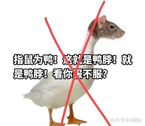 又现“鸭脖”事件？ 华北理工食堂被曝吃出鼠头|华北理工大学_新浪新闻