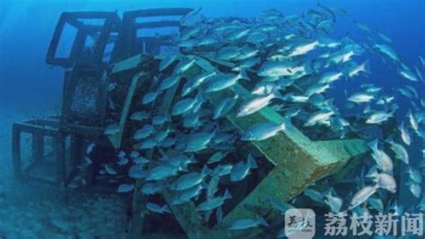 海洋底播养殖型人工鱼礁模具 源茂 预制混凝土生态渔樵岛钢模厂