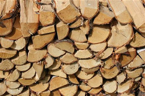 木材都是从哪里采购的，木材一般都在哪里买_行业资讯_木头云