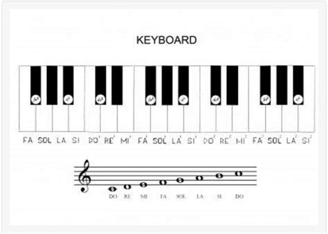 【乐理101】5. 带你看懂钢琴和吉他上的音（下） - 知乎