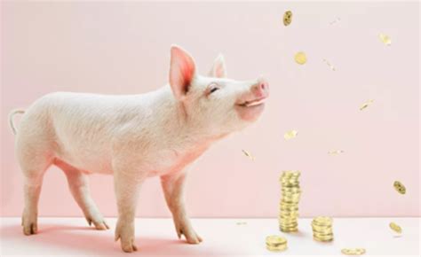 8月22日猪价：猪价6连涨！涨势已开启，猪价能涨到23元？一利空因素养殖户注意 - 猪好多网