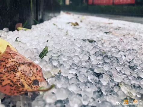 江苏扬州遭狂风暴雨 局地下冰雹比鸡蛋大(图)——人民政协网