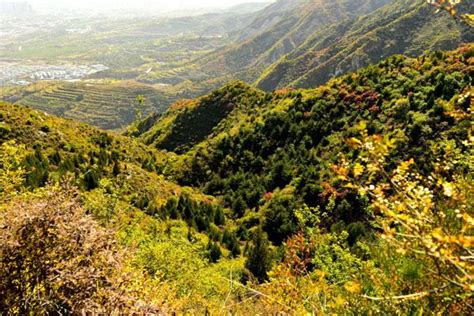 太原云顶山旅游项目_成都新视点园林绿化工程设计有限公司