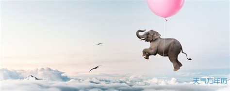 梦到大象追我说明什么 梦见大象追我有什么预兆 - 万年历